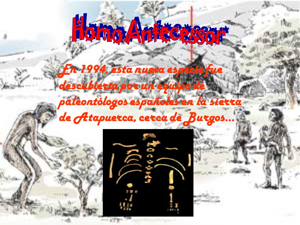 experto africano coño cerca de Burgos experto africano coño cerca de Burgos